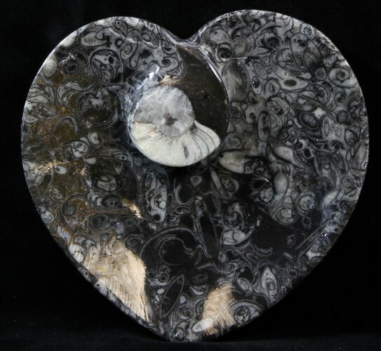 Heart Shaped Fossil Goniatite Dish #39321